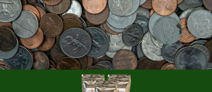 Clean Your Coins With Oxalic Acid