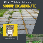 DIY Weed Killer-Sodium Bicarbonate