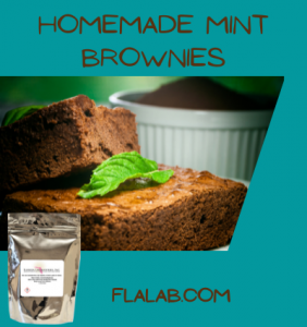 Homemade Mint Brownies
